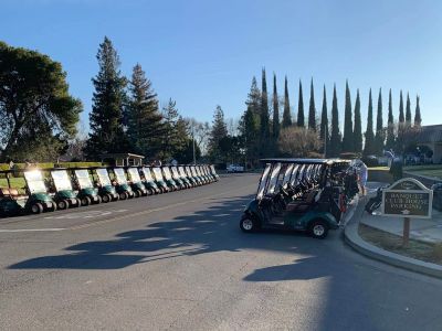 Golf carts lined up 