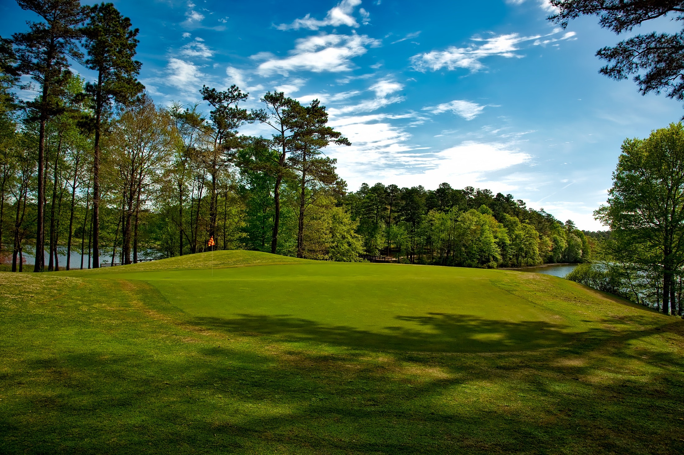 view of golf course green